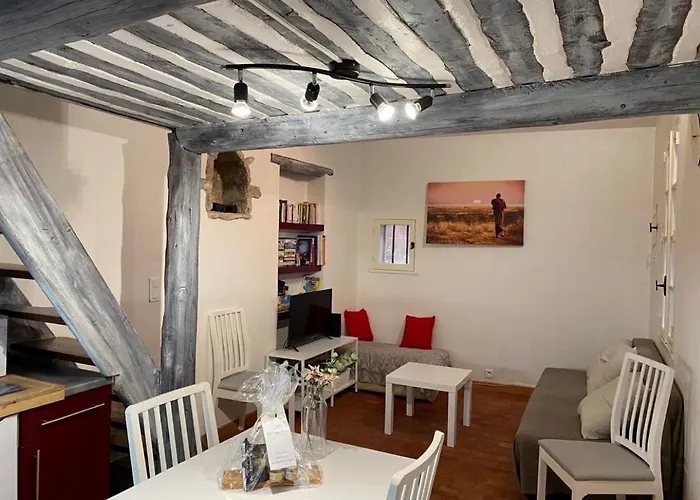 Studio Cosy Dans Le Centre-Ville Historique
